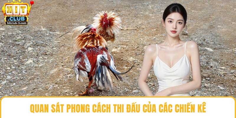 Quan sát phong cách thi đấu của các chiến kê